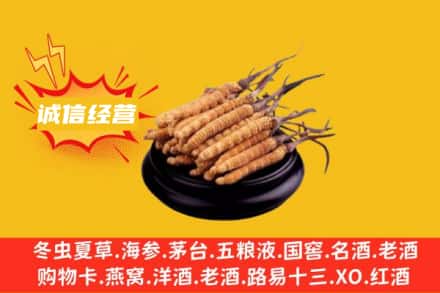 恩施回收冬虫夏草